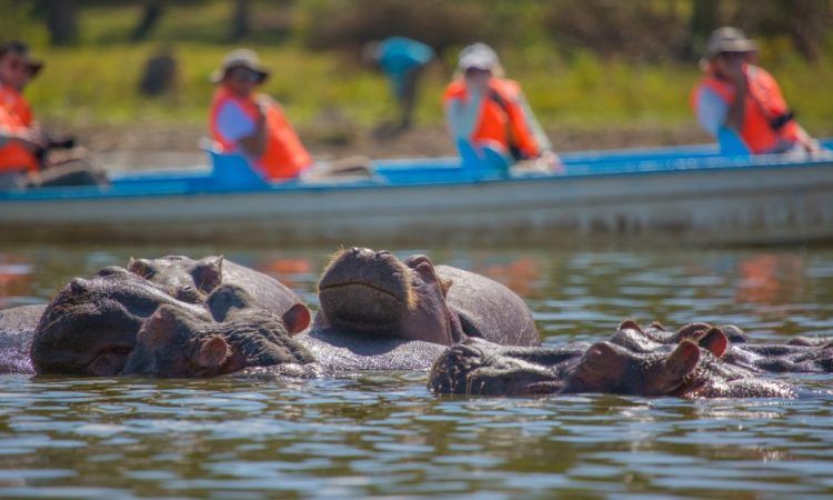 Hippopotamus-Lake-Naivasha-1024x683-1-750x450