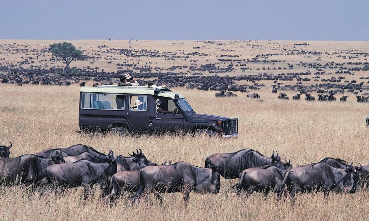 Masai Mara Wildebeest Migration Tour – 5 Days Kenya Safari & Lake Naivasha