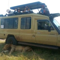 Beautiful Jungle safaris in kenya, tanzania and uganda tour pictures 7