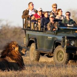 south africa by saafo